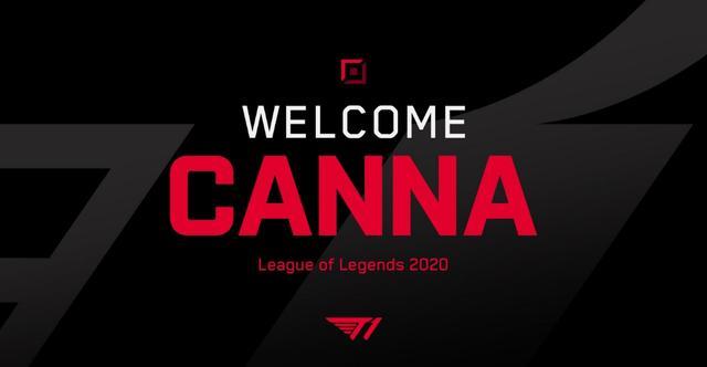 光有好内容 光有好内容