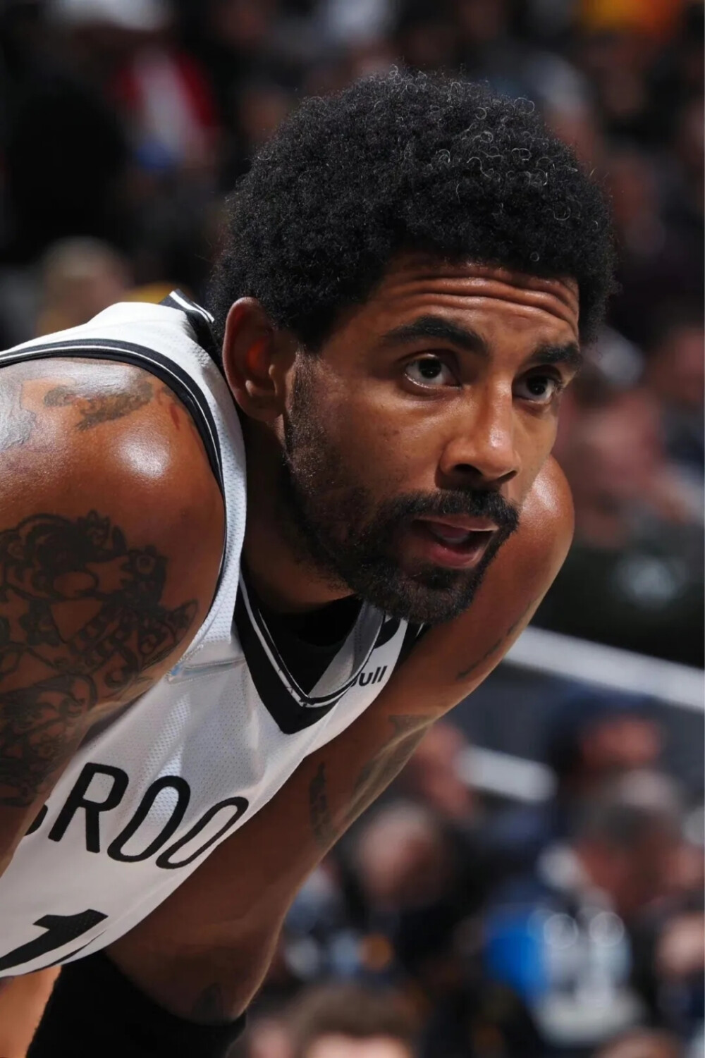 自然融入 自然融入